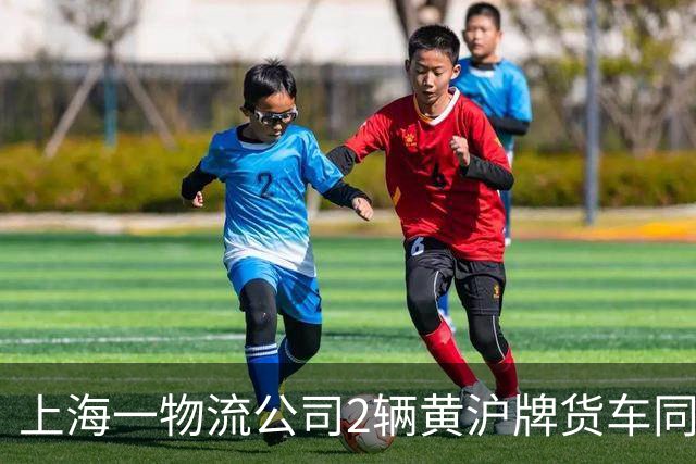 上海一物流公司2辆黄沪牌货车同日在芜湖被吊销营运证、罚6万元